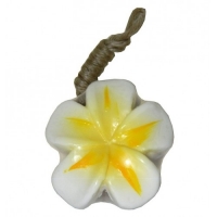 Мыло фигурное "Франжипани" Siam Herb, 100 гр.