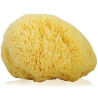 Натуральная морская губка для тела (крупная) Honeycomb (13.7 - 15 см)