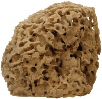 Натуральная (неотбеленная) пористая морская губка для лица/тела Honeycomb (13.7-15 см)