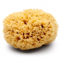Натуральная морская губка для тела (малая) Honeycomb (8.7-10.0 см)
