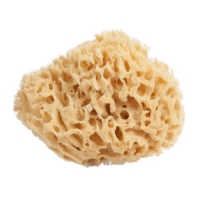 Натуральная морская губка для тела (средняя) Honeycomb (10.0-11.2 см)